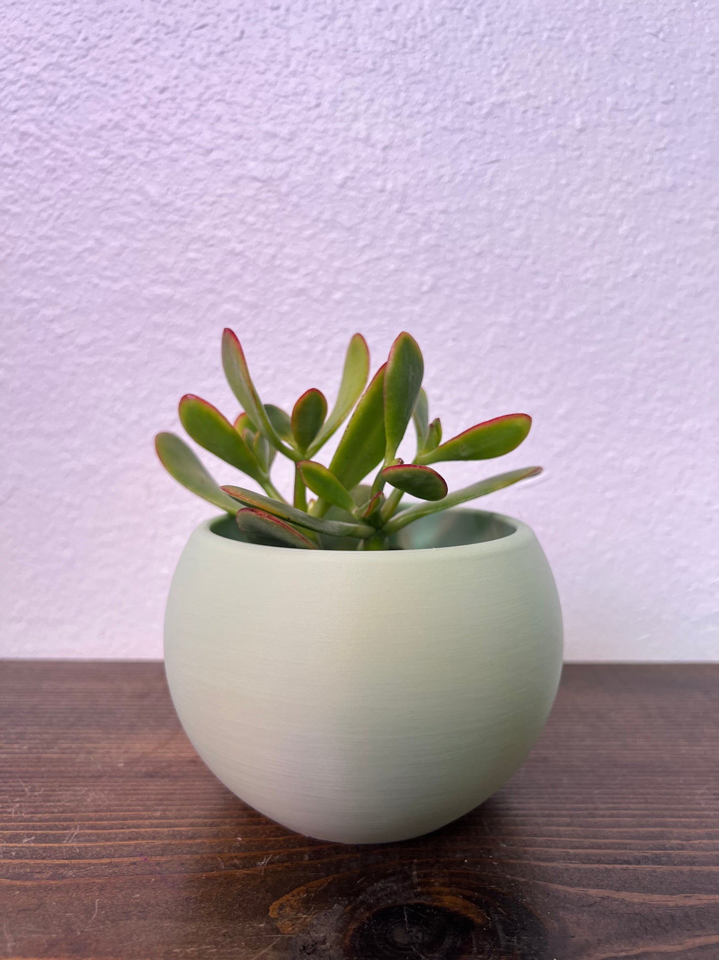 Pearl Plant Pot