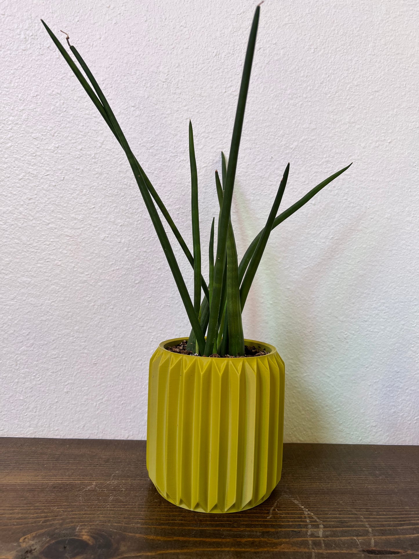 Textured Round Plant Pot