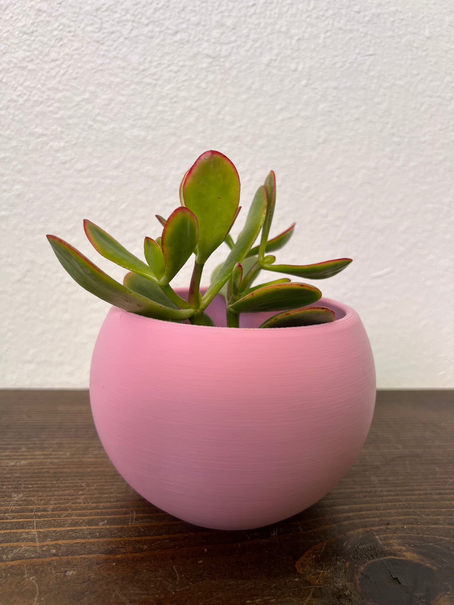 Pearl Plant Pot