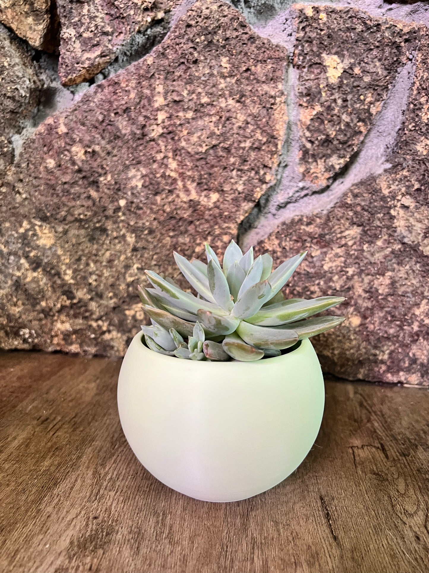Pearl Plant Pot
