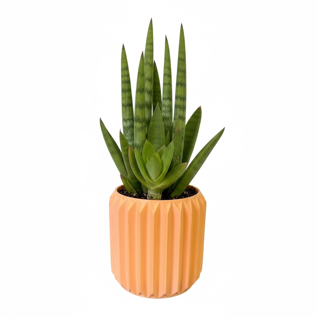 Textured Round Plant Pot
