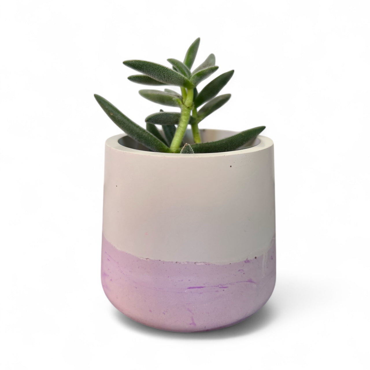 2 Tone- Cement Planter