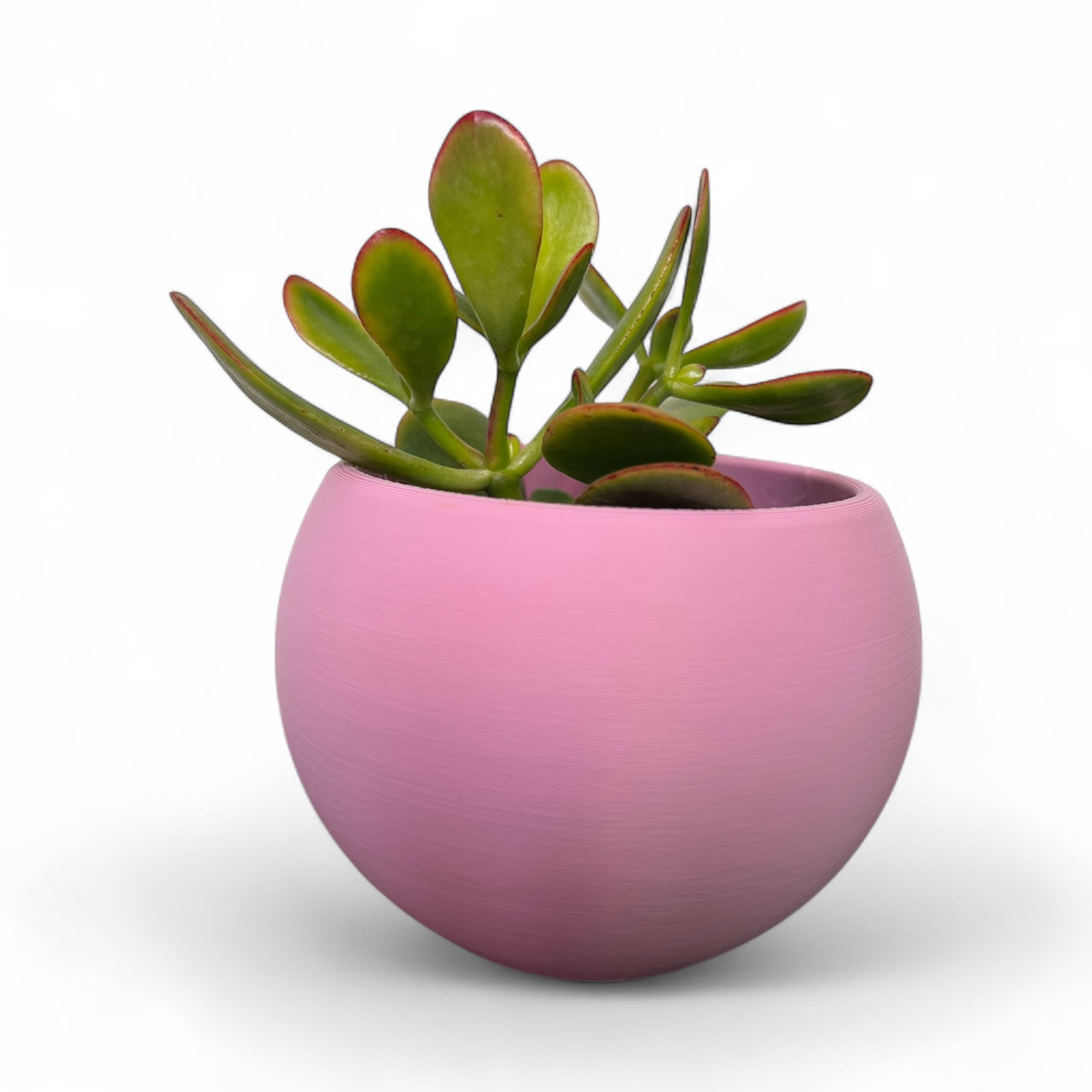 Pearl Plant Pot