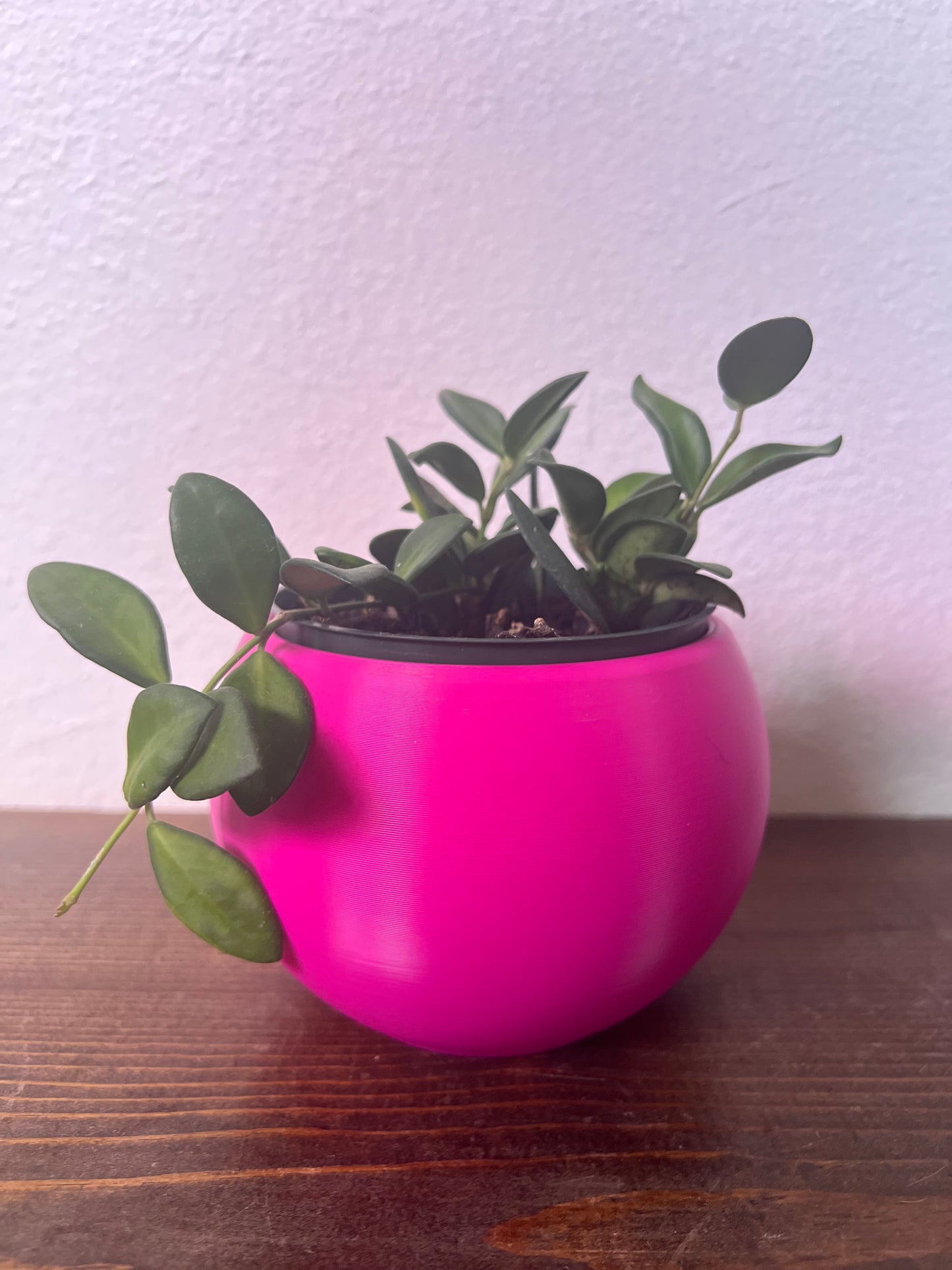 Pearl Plant Pot