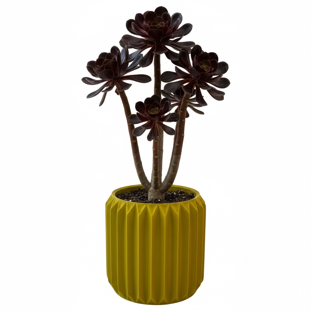 Textured Round Plant Pot