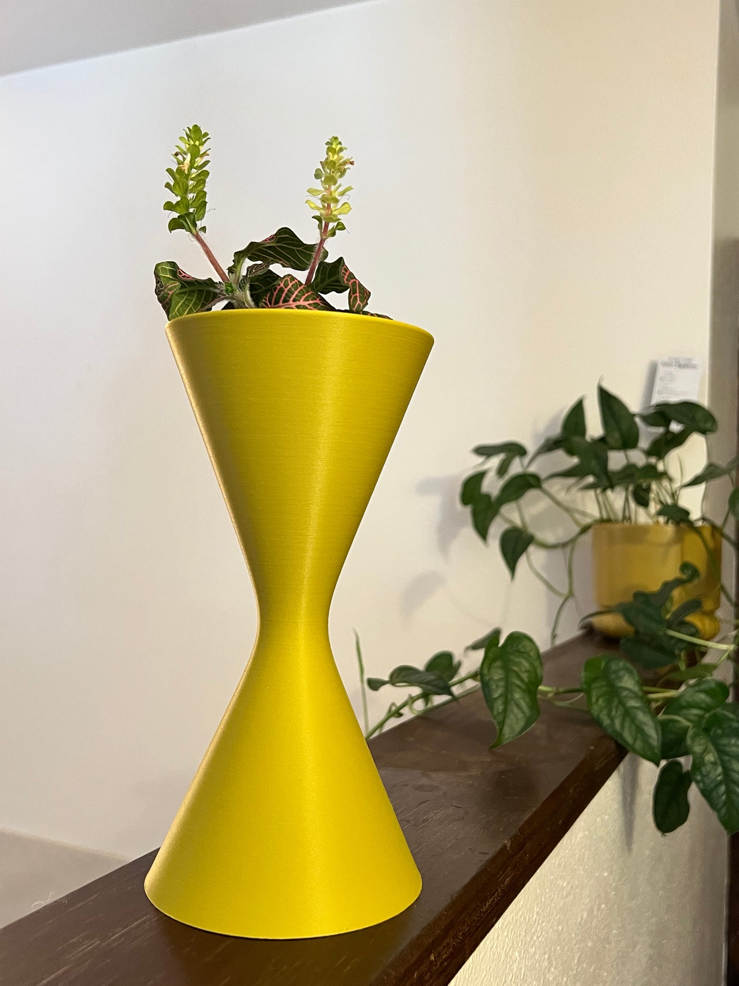 Lynch Plant Pot