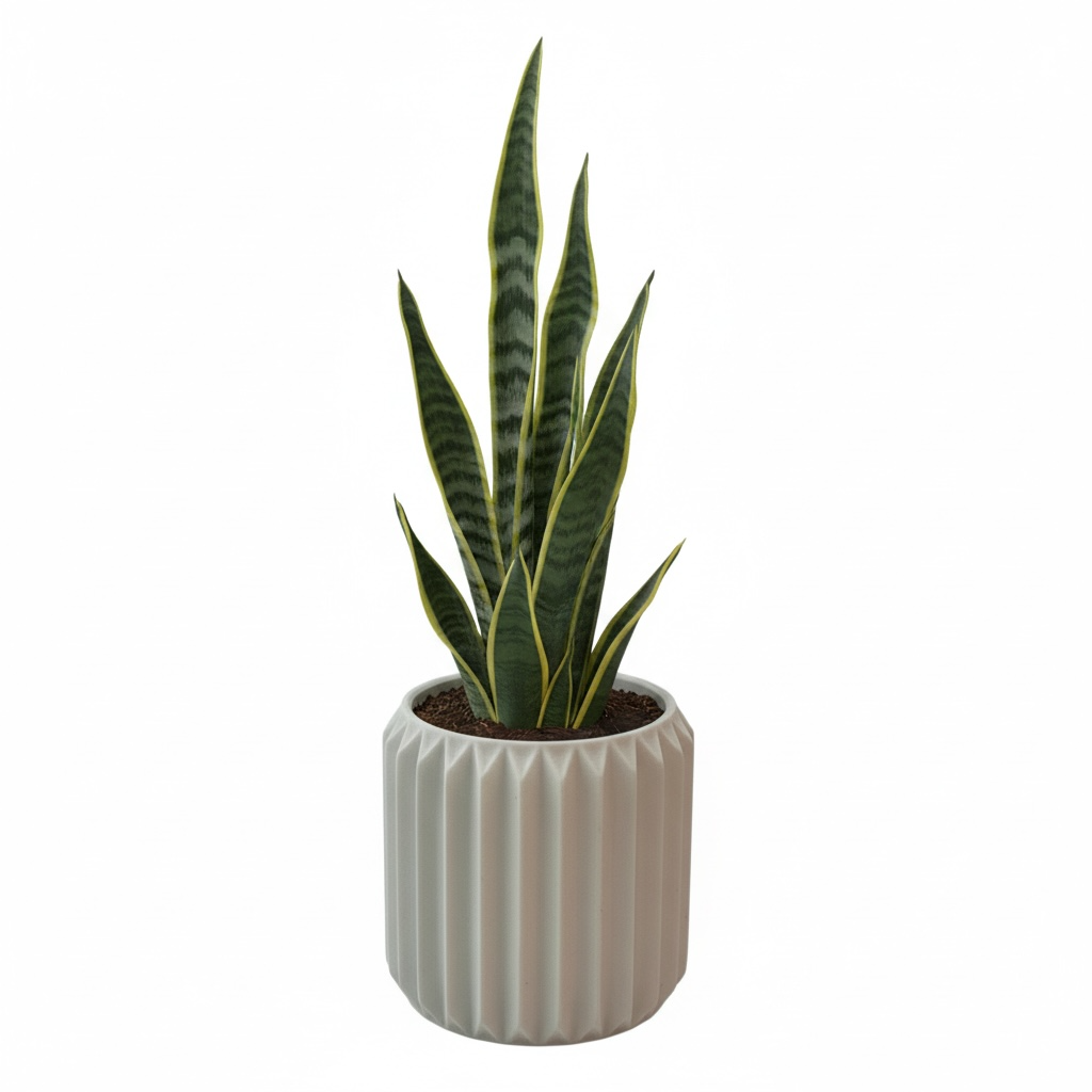 Textured Round Plant Pot