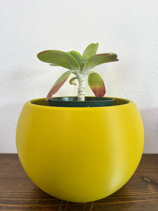 Pearl Plant Pot