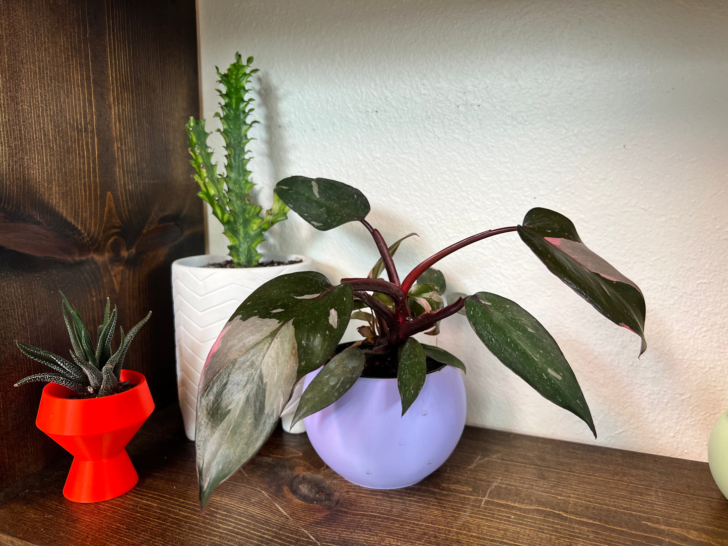 Pearl Plant Pot