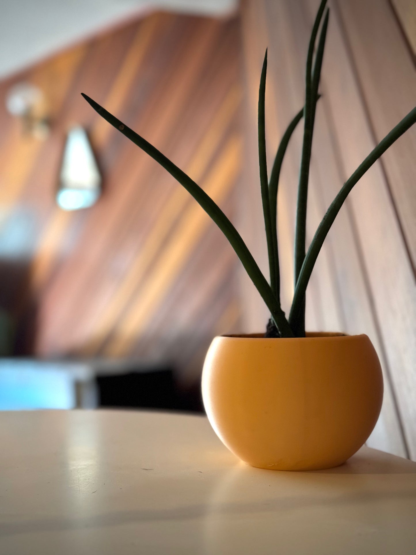 Pearl Plant Pot